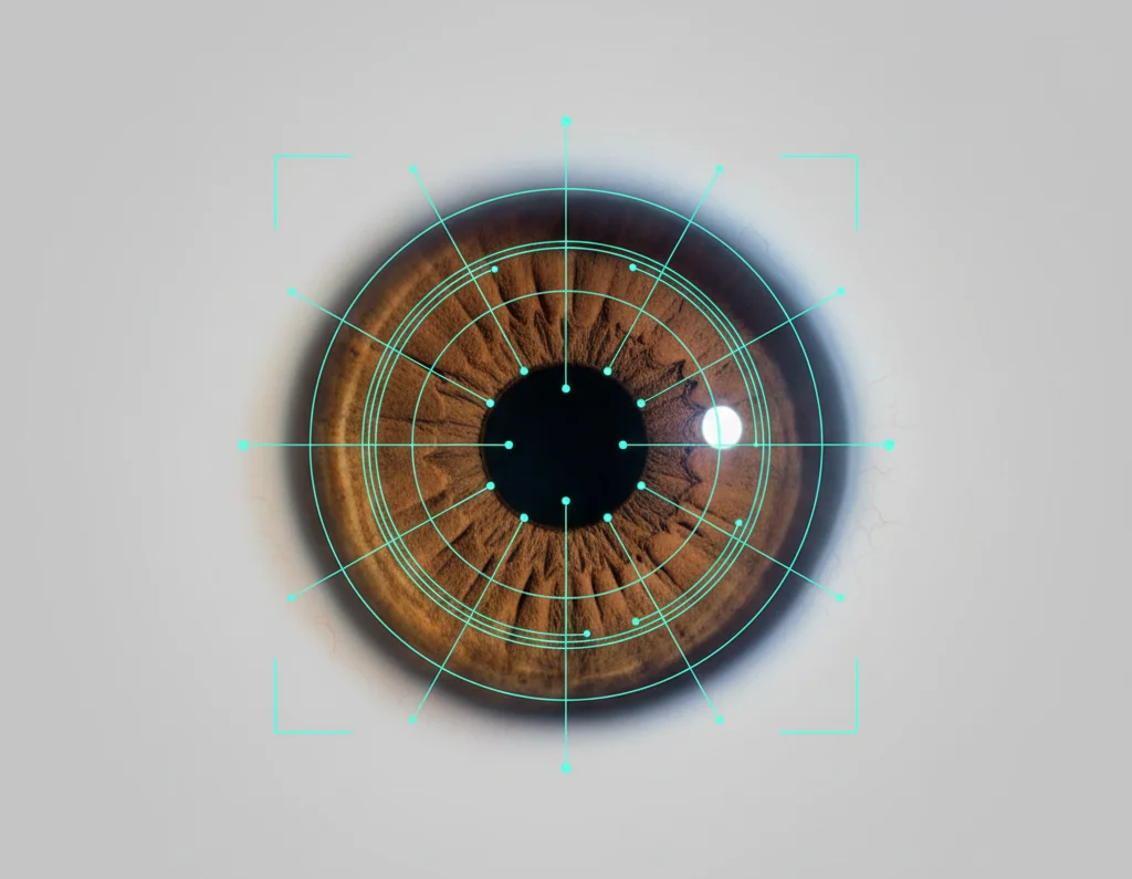 How Iris Recognition Works