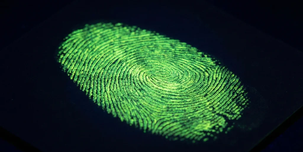 What Is a Latent Fingerprint The Science Behind Invisible Crime Scene Clues